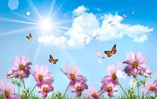 蓝天白云花朵图片