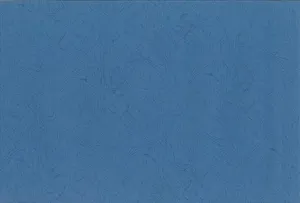 深蓝色皮纹纸图片