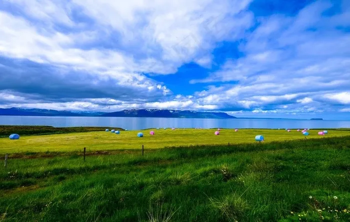 草原风光图片