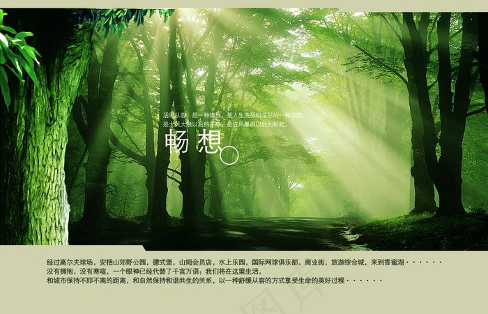 天然氧吧 树木  绿色 环保图片