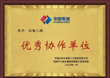 金色企业奖牌图片 金色企业奖牌图片