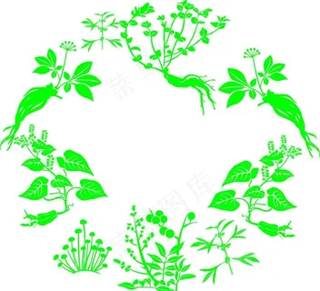 矢量中草药植物图片