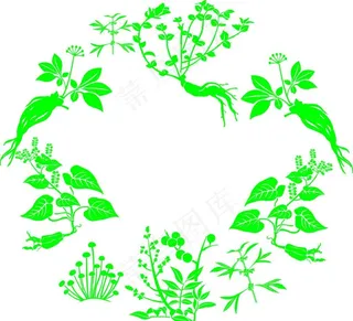 矢量中草药植物图片