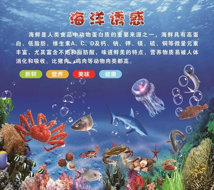 海洋图片(210X297)cdr矢量模版下载