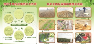 技术流程展板图片