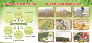 技术流程展板图片