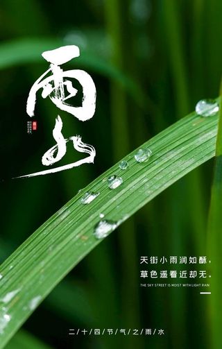 雨水图片