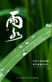 雨水图片 雨水图片