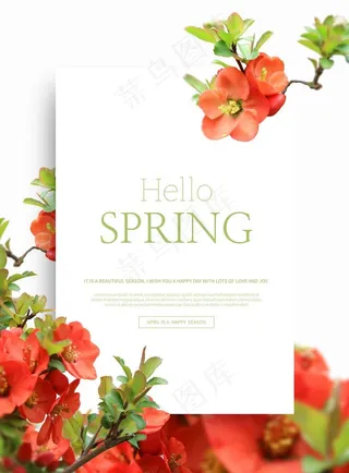 鲜花海报图片