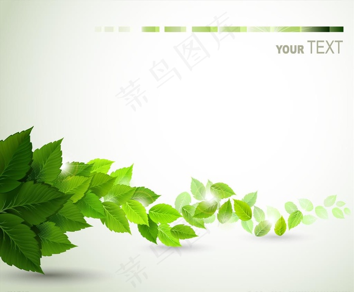 树叶图片ai矢量模版下载