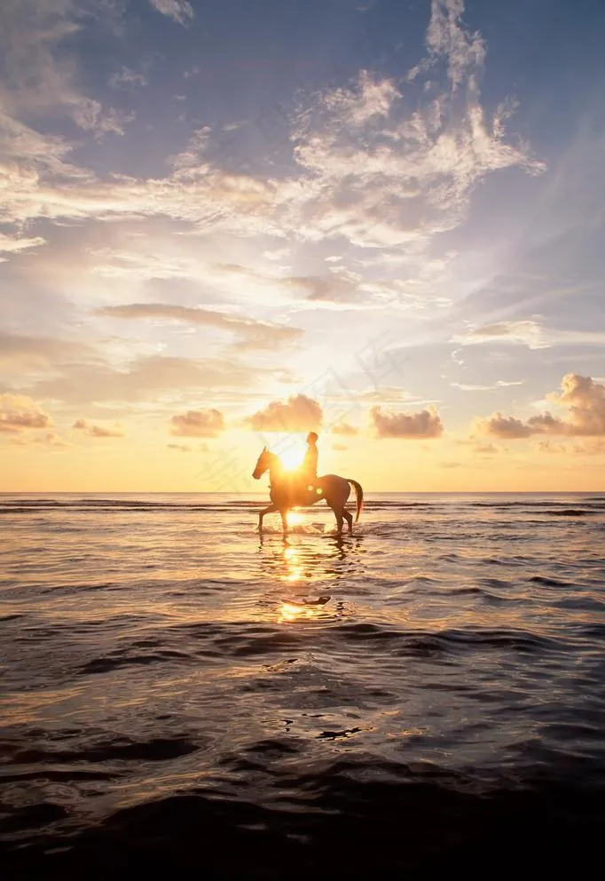 男人 海边 梦想图片