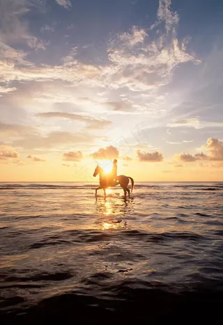 男人 海边 梦想图片