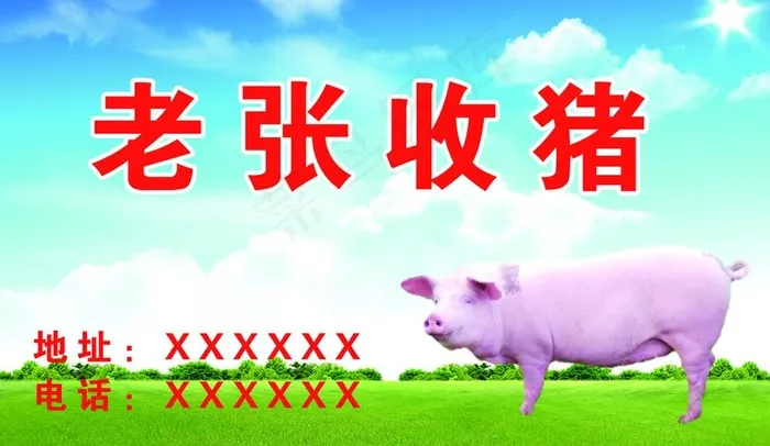 收猪名片图片psd模版下载