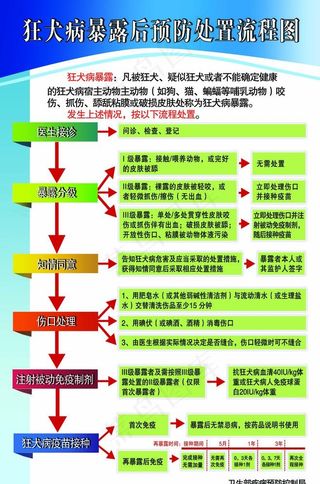 狂犬病的预防流程图片