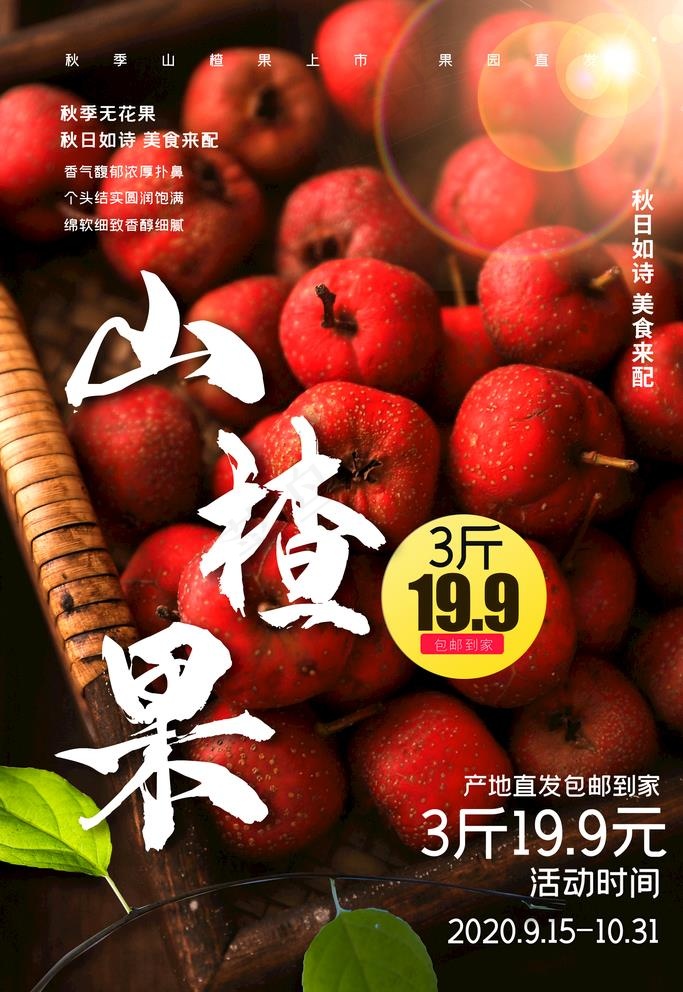 山楂海报图片