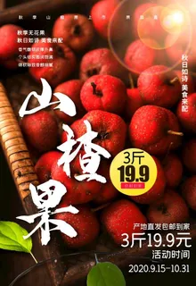 山楂海报图片