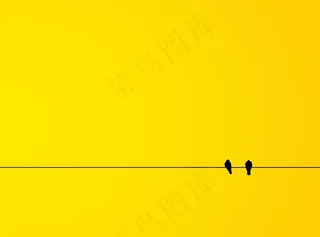 黄色 背景图片