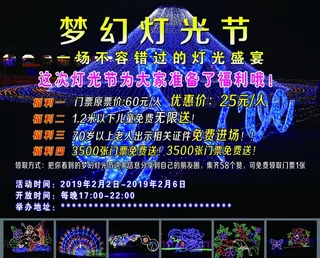 灯光节图片