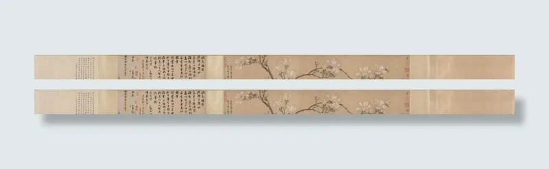 明 文徵明 白玉兰图卷图片