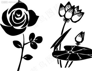 荷花 玫瑰花 失量图片