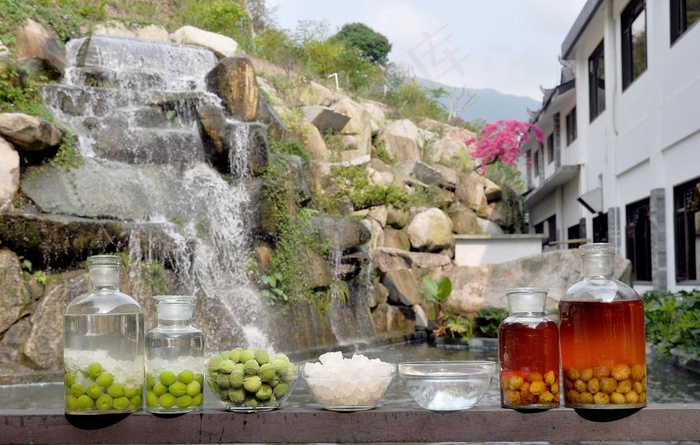 青梅酒图片