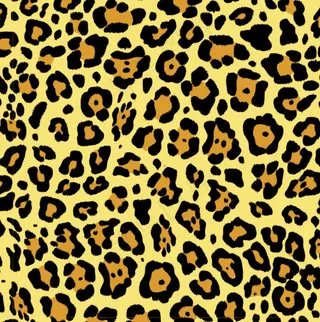 豹纹图片