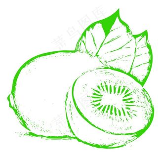 剖面猕猴桃矢量文件图片