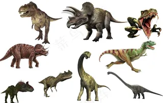 恐龙图片