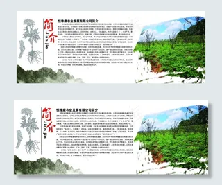 企业简介展板图片