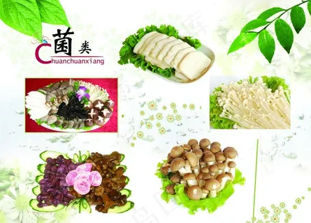 火锅菌类 海报图片 火锅菌类 海报图片