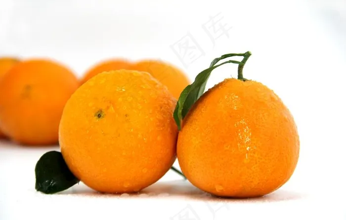 果冻橙图片