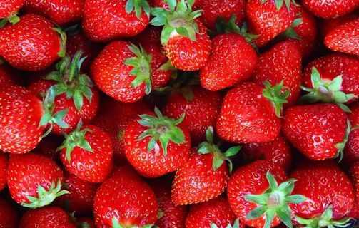 草莓水果图片