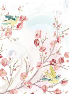 花鸟图片 花鸟图片