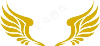 翅膀图片