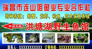 养殖场海报图片