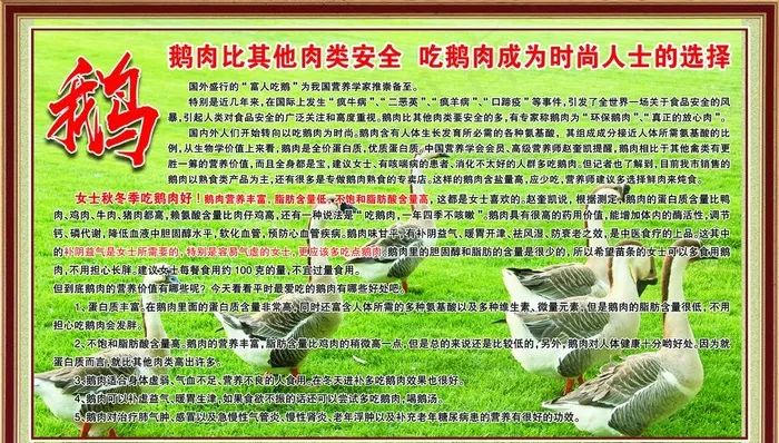 吃鹅的好处图片(9000X5400(DPI:76))psd模版下载
