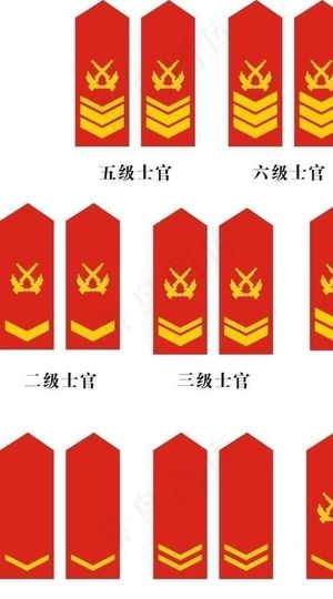 中国人民解放军武警士官常服肩章图片