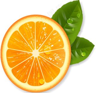 橙子图片