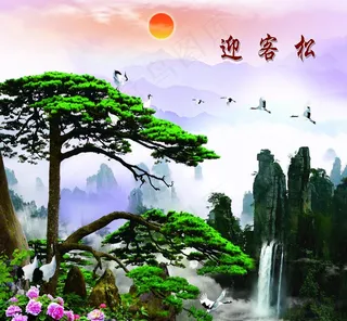 迎客松图片