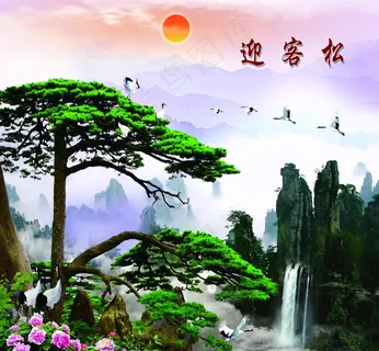 迎客松图片 迎客松图片