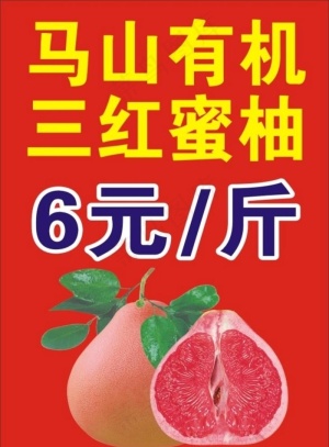 蜜柚图片