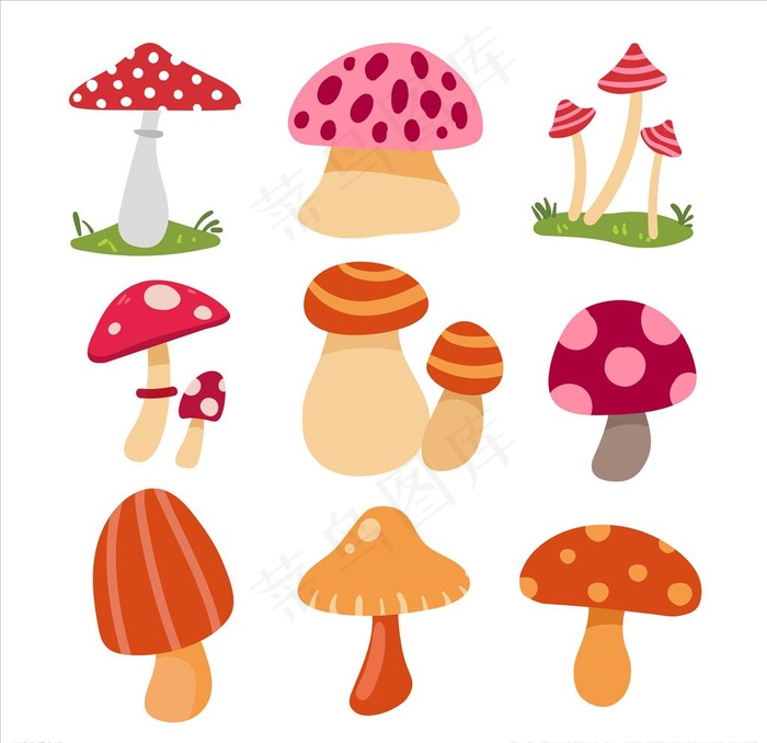 蘑菇图片