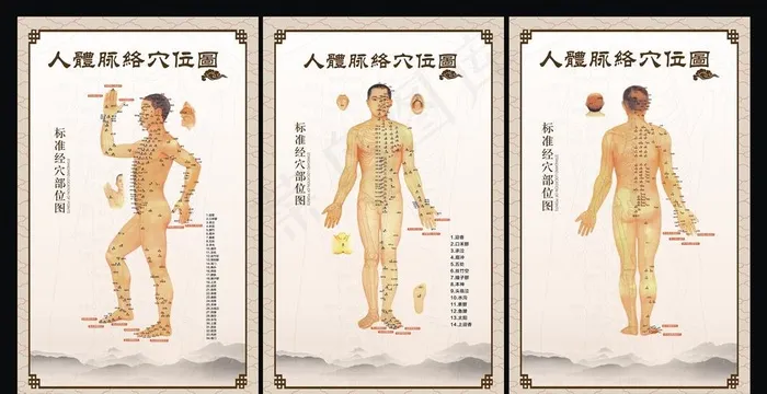 穴位图图片(900X600)cdr矢量模版下载