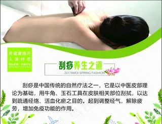 刮痧养生之道图片