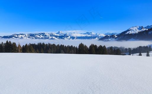 雪地图片