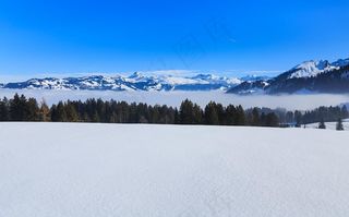 雪地图片