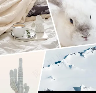 照片图片排版设计 照片图片排版设计