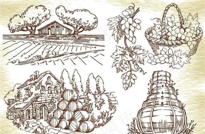 手绘葡萄酒图片