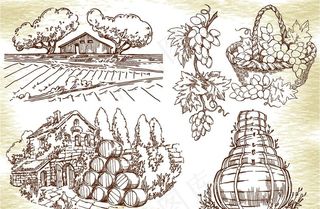 手绘葡萄酒图片