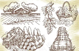 手绘葡萄酒图片